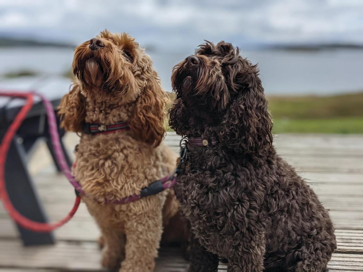 Loch Melfort Hotel Arduaine Eksteriør bilde